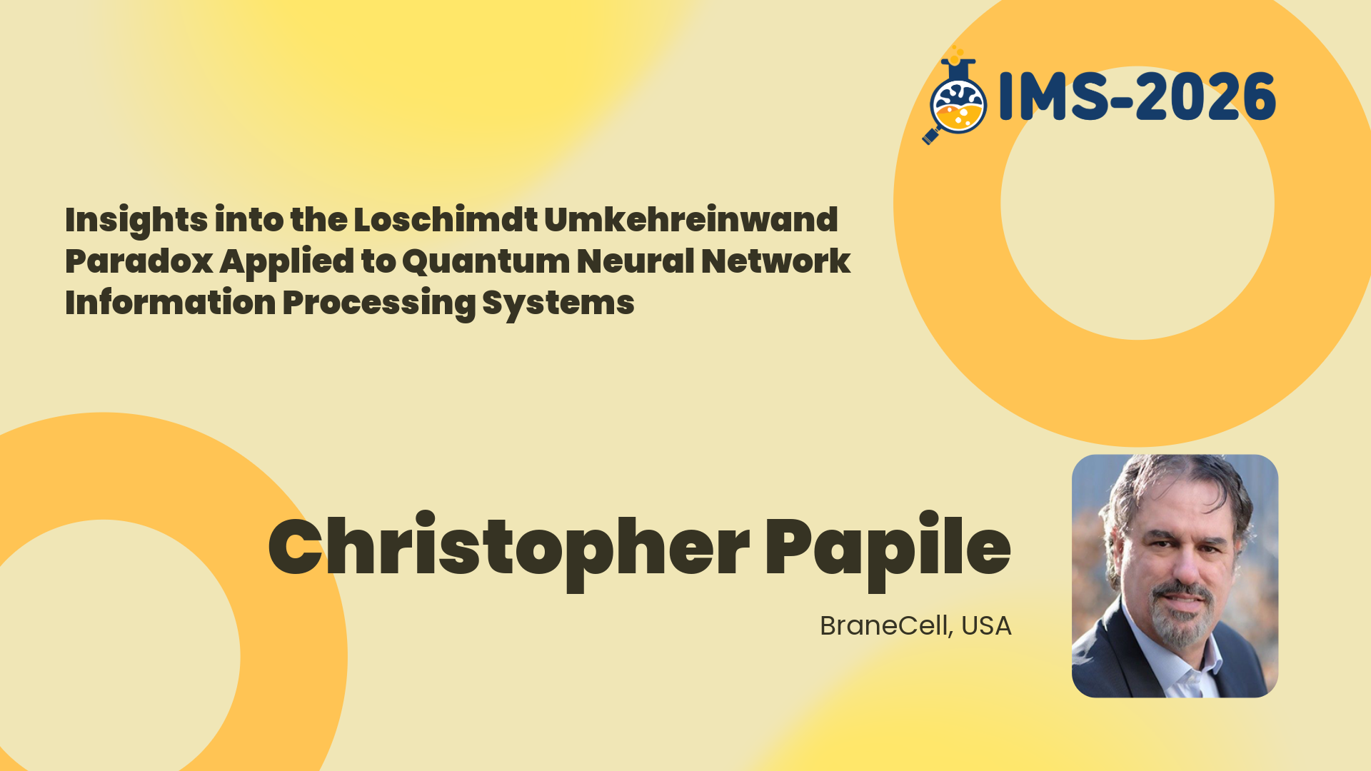 Insights into the Loschimdt Umkehreinwand Paradox Applied to Quantum Neural Network Information Processing Systems